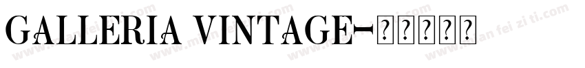 Galleria Vintage字体转换